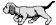 dog.gif